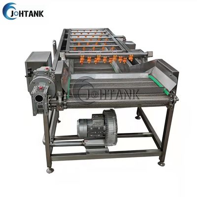 산업적 자동 야채와 과일이 토마토샐러드를 위한 크리닝 장치를 씻습니다